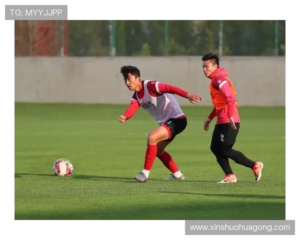 成都网球队区域防守体系的战术分析与实战应用探讨