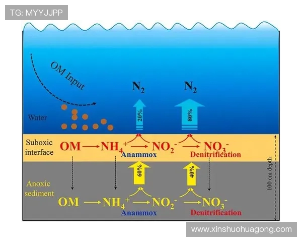 深圳乒乓球队的节奏与战术创新探讨及其对比赛的影响分析 深圳乒乓球队的节奏与战术创新探讨及其对比赛的影响分析