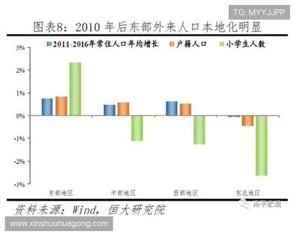 全面探究篮球运动员成长历程与竞技魅力的深度专业解析全景呈现